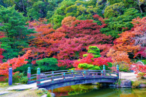 長府庭園の紅葉 山に向かって広がる、秋の絶景