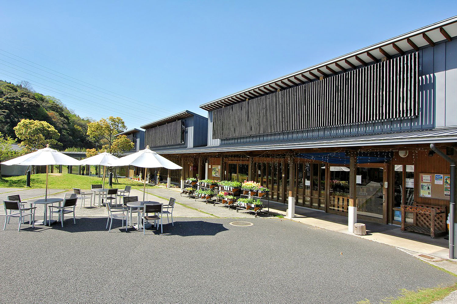 楠こもれびの郷：温泉と食で憩う、宇部市の癒しスポット