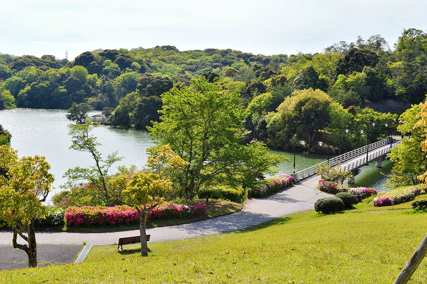 江汐公園で自然を満喫！ツツジ・紅葉の名所