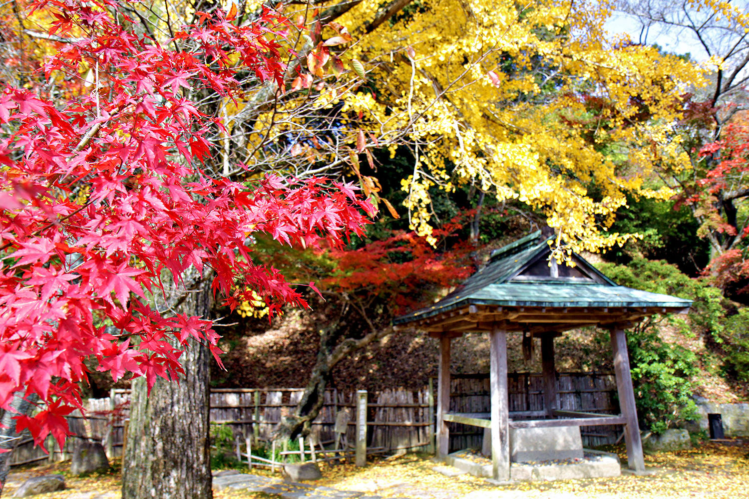 伊藤公記念公園：燃えるような紅葉が彩る、初代総理大臣ゆかりの地