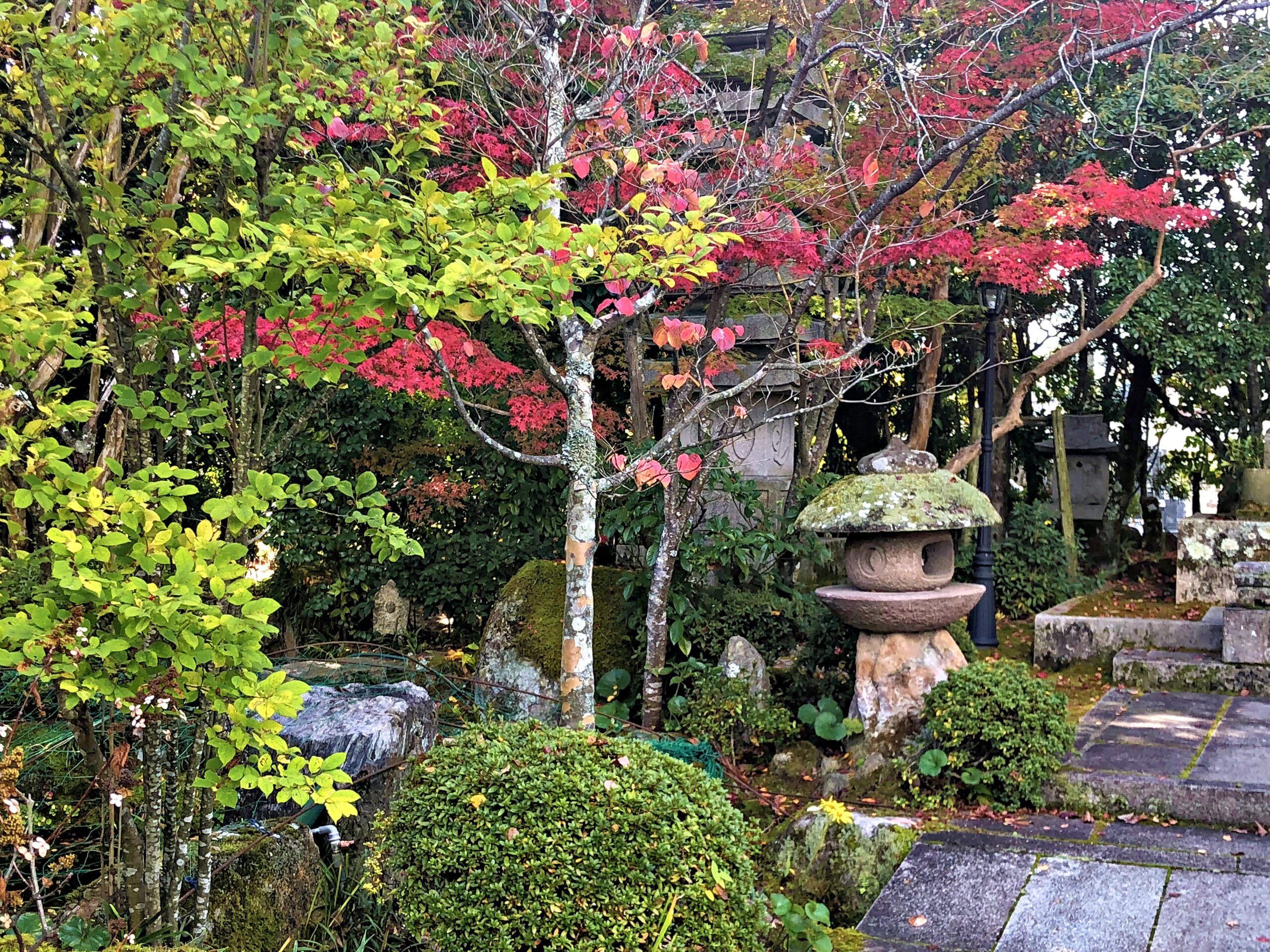 龍福寺で紅葉と歴史を満喫！重要文化財の本堂は必見