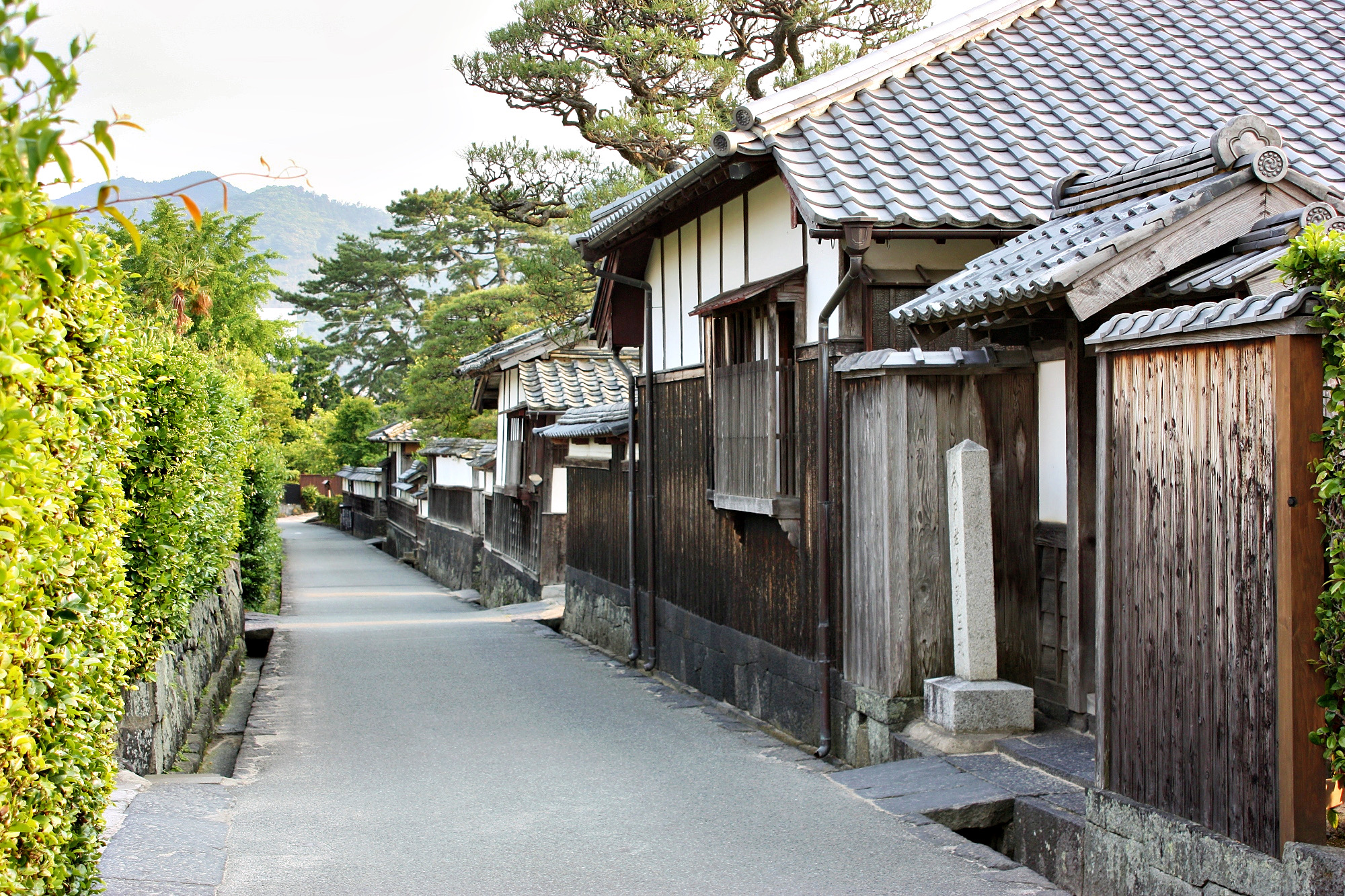 萩城下町（江戸屋横町）：江戸時代の面影を色濃く残す、歴史と文化の宝庫