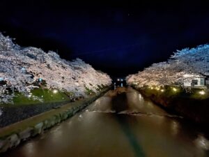 夜桜ライトアップとグルメ！「みね桜まつり」で春を満喫！